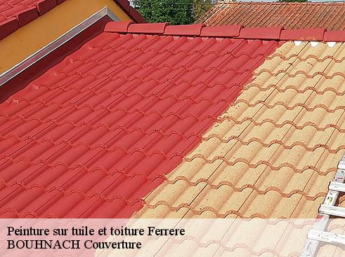 Peinture sur tuile et toiture  65370