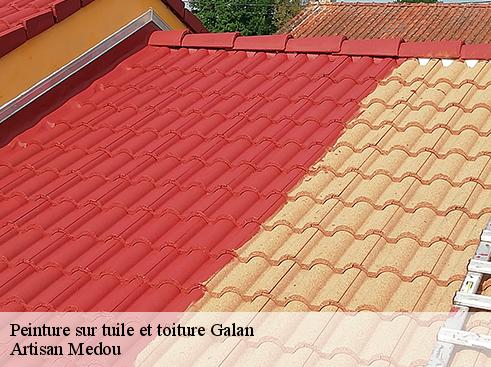 peinture-sur-tuile-et-toiture-artisan-medou-4