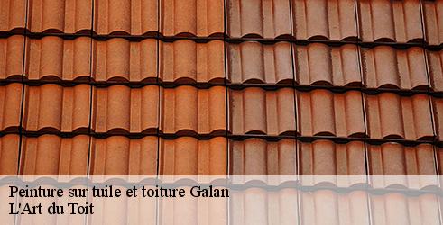 peinture-sur-tuile-et-toiture-l-art-du-toit-4