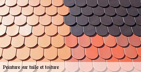 peinture-sur-tuile-et-toiture-l-art-du-toit-9
