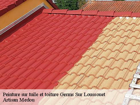 peinture-sur-tuile-et-toiture-artisan-medou-4