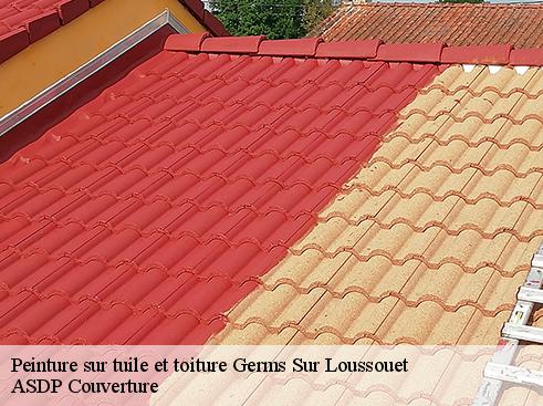 peinture-sur-tuile-et-toiture-asdp-couverture-4