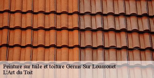 peinture-sur-tuile-et-toiture-l-art-du-toit-4