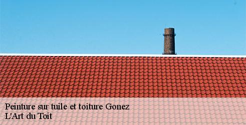 peinture-sur-tuile-et-toiture-l-art-du-toit-10