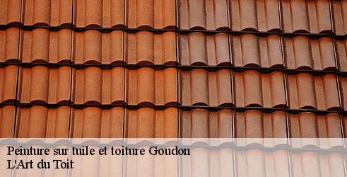 peinture-sur-tuile-et-toiture-l-art-du-toit-4