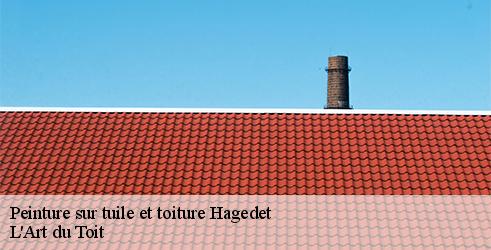 peinture-sur-tuile-et-toiture-l-art-du-toit-10