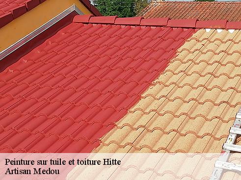 peinture-sur-tuile-et-toiture-artisan-medou-4