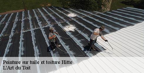 peinture-sur-tuile-et-toiture-l-art-du-toit-1