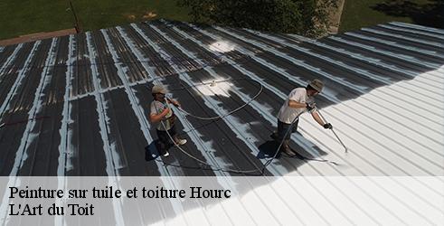 peinture-sur-tuile-et-toiture-l-art-du-toit-1