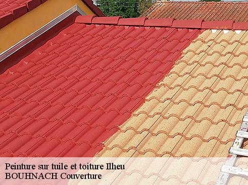 Peinture sur tuile et toiture 65370