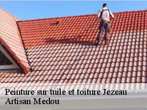 Peinture sur tuile et toiture  jezeau-65240 Artisan Medou