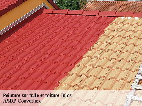 peinture-sur-tuile-et-toiture-asdp-couverture-4