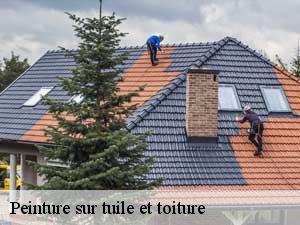 Peinture sur tuile et toiture 65130