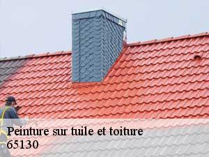 Peinture sur tuile et toiture 65130