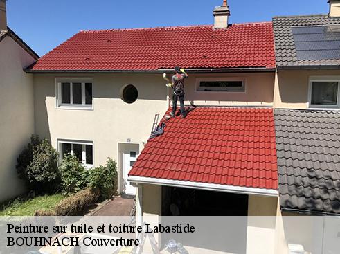 Peinture sur tuile et toiture labastide-65130 Artisan Medou