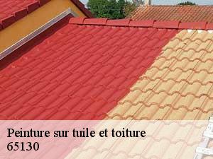 Peinture sur tuile et toiture