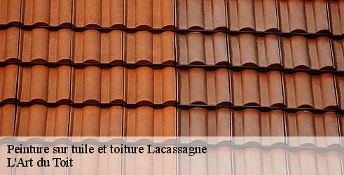 peinture-sur-tuile-et-toiture-l-art-du-toit-4