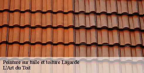 peinture-sur-tuile-et-toiture-l-art-du-toit-4