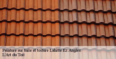 peinture-sur-tuile-et-toiture-l-art-du-toit-4