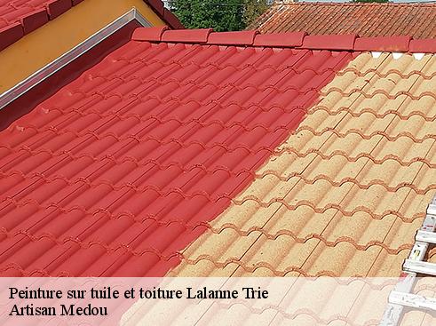 peinture-sur-tuile-et-toiture-artisan-medou-4