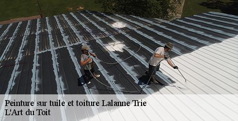 peinture-sur-tuile-et-toiture-l-art-du-toit-1