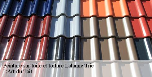 peinture-sur-tuile-et-toiture-l-art-du-toit-7