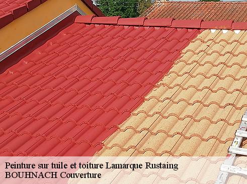 Peinture sur tuile et toiture lamarque-rustaing-65220 BOUHNACH Couverture