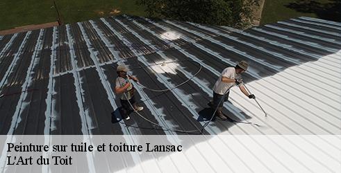 peinture-sur-tuile-et-toiture-l-art-du-toit-1