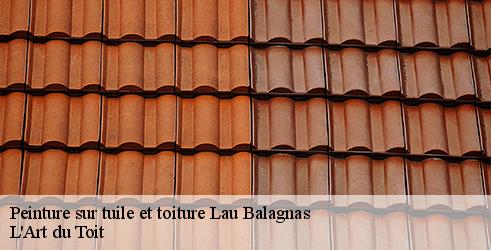 peinture-sur-tuile-et-toiture-l-art-du-toit-4