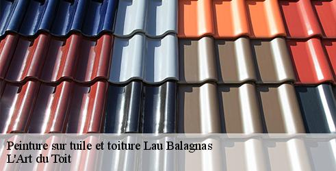 peinture-sur-tuile-et-toiture-l-art-du-toit-7