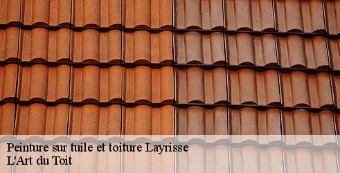 peinture-sur-tuile-et-toiture-l-art-du-toit-4