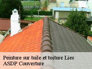 peinture-sur-tuile-et-toiture-asdp-couverture-7