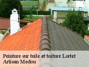 peinture-sur-tuile-et-toiture-artisan-medou-7