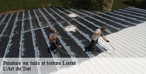 peinture-sur-tuile-et-toiture-l-art-du-toit-1
