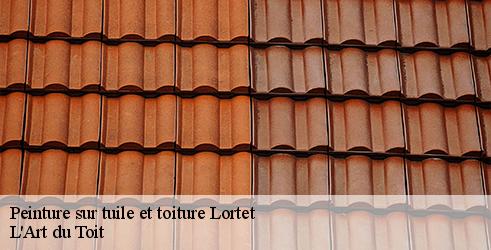 peinture-sur-tuile-et-toiture-l-art-du-toit-4