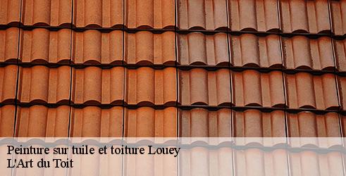 peinture-sur-tuile-et-toiture-l-art-du-toit-4