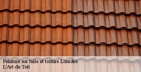 peinture-sur-tuile-et-toiture-l-art-du-toit-4