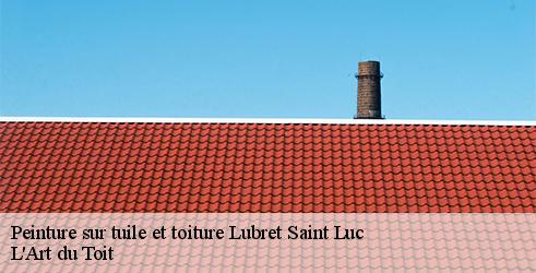 peinture-sur-tuile-et-toiture-l-art-du-toit-10