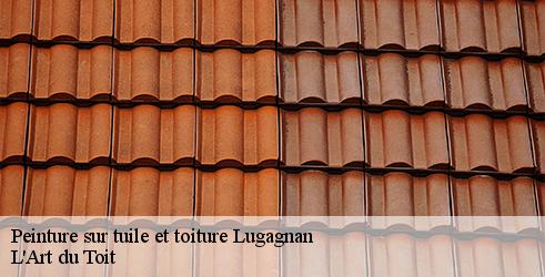 peinture-sur-tuile-et-toiture-l-art-du-toit-4
