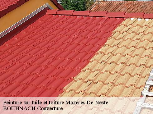 Peinture sur tuile et toiture 65660