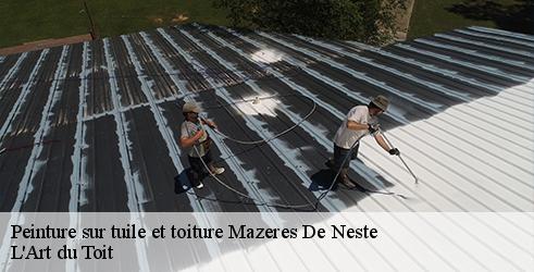 peinture-sur-tuile-et-toiture-l-art-du-toit-1