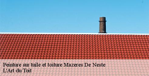 peinture-sur-tuile-et-toiture-l-art-du-toit-10