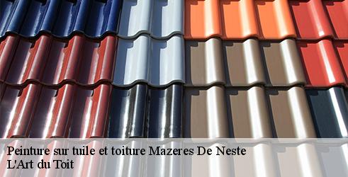 peinture-sur-tuile-et-toiture-l-art-du-toit-7
