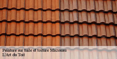 peinture-sur-tuile-et-toiture-l-art-du-toit-4