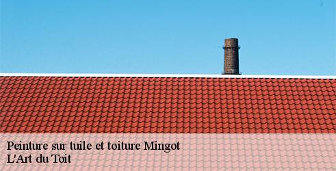 peinture-sur-tuile-et-toiture-l-art-du-toit-10