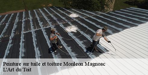 peinture-sur-tuile-et-toiture-l-art-du-toit-1