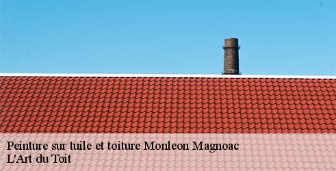 peinture-sur-tuile-et-toiture-l-art-du-toit-10