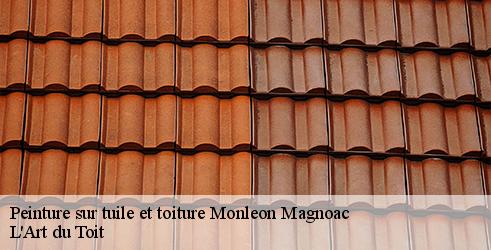 peinture-sur-tuile-et-toiture-l-art-du-toit-4
