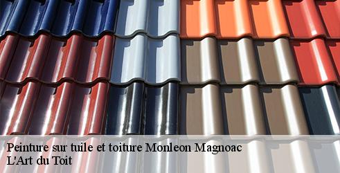 peinture-sur-tuile-et-toiture-l-art-du-toit-7