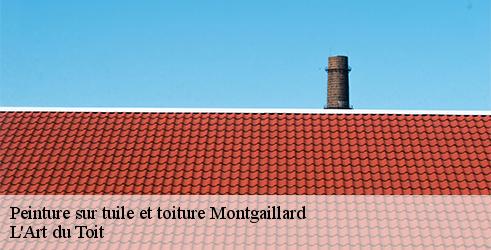 peinture-sur-tuile-et-toiture-l-art-du-toit-10